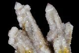 Cactus Quartz (Amethyst) Cluster - South Africa #115129-1